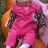 Pumpkin Patch Richardsons in Dunnville